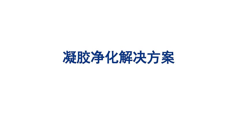 凝膠凈化解決方案