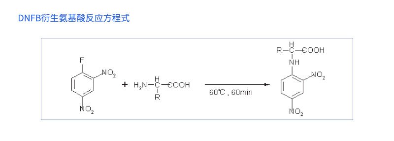DNFB衍生氨基酸反應(yīng)程式