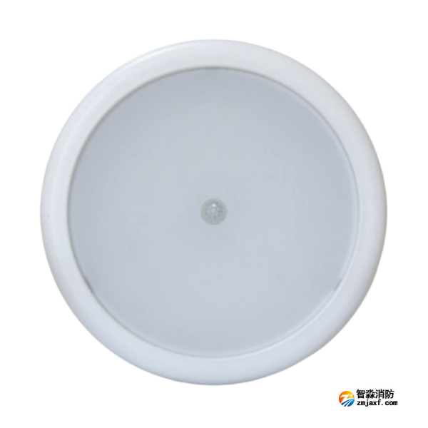 新疆海灣HW-ZFJC-E6W-N656HW集中電源集中控制型消防應急照明燈具