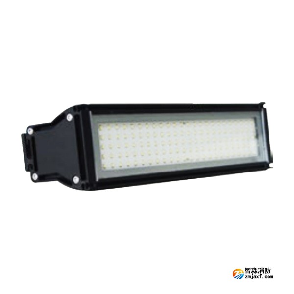 新疆海灣HW-ZFJC-E12W-VN762壁掛照明燈