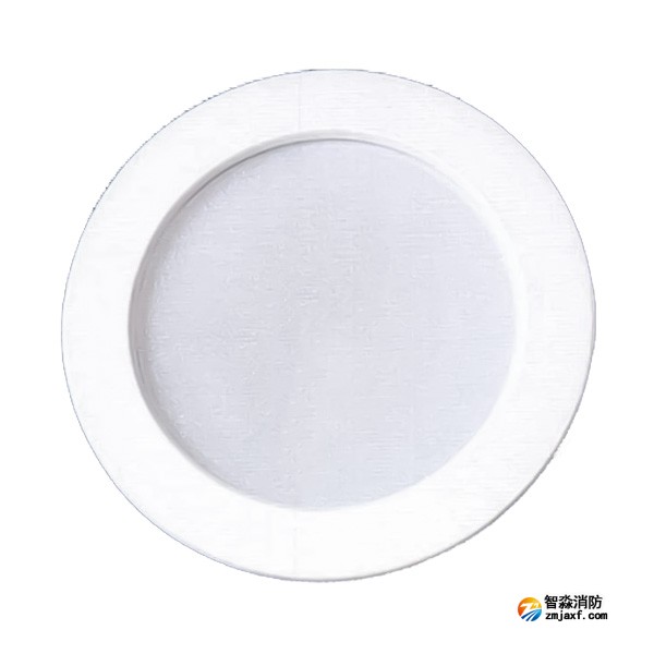 新疆海灣SJ-ZFJC-E5W/ZQ5C集中電源集中控制型消防應(yīng)急照明燈具 吸頂/壁掛