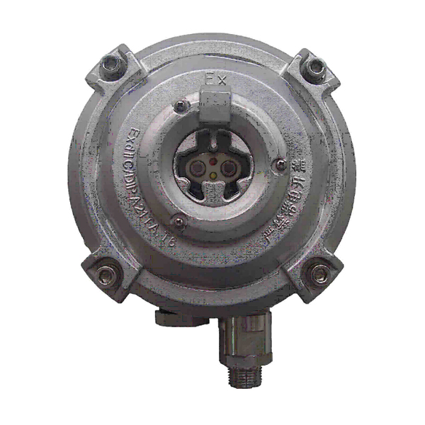 新疆海灣D-9107R防爆點(diǎn)型紅外火焰探測器